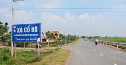 Hà Nội sắp đấu giá 14 thửa đất tại xã Cổ Đô, giá khởi điểm từ 2,7 triệu đồng/m2