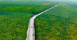 Xã sắp lên phường của TP. HCM: Sở hữu hồ nhân tạo rộng gấp 50 lần Hồ Tây và tuyến đường chạy xuyên rừng cao su