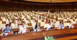 Chủ trương tinh gọn tổ chức bộ máy phù hợp với yêu cầu phát triển đất nước