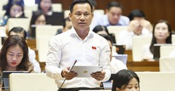 Gắn phát triển đô thị với quốc phòng, an ninh và kinh tế biển