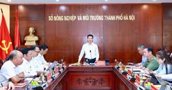 Hà Nội yêu cầu xử lý dứt điểm vướng mắc đất đai, kiên quyết thu hồi dự án không chuyển biến