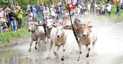 Phát triển du lịch vùng đồng bào dân tộc thiểu số Khmer