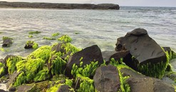 Quảng Ngãi: Mở rộng phạm vi công viên địa chất Lý Sơn - Sa Huỳnh đến 4.000km2