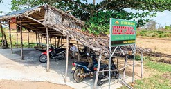 Sốt đất Cần Giờ là thông tin đồn thổi