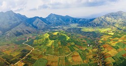 Gia Lai: Lễ hội hoa dã quỳ-núi lửa Chư Đăng Ya năm 2019: Ai lo?