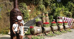 Du khách thích thú thưởng vang miễn phí tại Bà Nà Hills