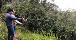 Săn lùng đất làm homestay