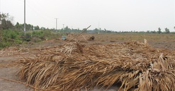 Vụ “10 triệu đồng 1.500m2 đất” ở Long An: Nhiều người tiếp tục bị lừa