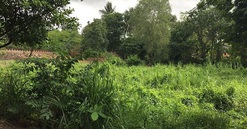 Bên trong siêu dự án Bình Qưới – Thanh Đa sau 26 năm bị "treo"