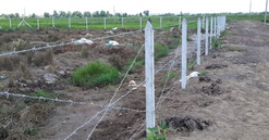 TP.HCM đề xuất áp dụng hệ số k (điều chỉnh giá đất) năm 2019 tăng bình quân 0,4 lần