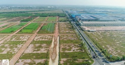 Lùm xùm bán đấu giá dự án nghìn tỷ ở Bình Dương giữa Địa ốc Kim Oanh, Agribank Chợ Lớn và Công ty đấu giá Nam Sài Gòn