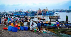 Đà Nẵng: Tạm dừng dự án tuyến luồng vào cảng Thọ Quang