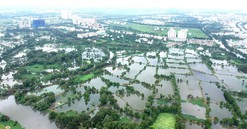 TP.HCM: Cò đất “ăn theo” chủ trương chuyển đổi đất nông nghiệp vùng ven