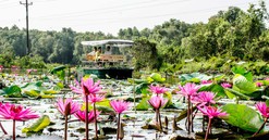 Khám phá Đồng Tháp Mười mùa nước nổi