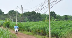 Đồng Nai: Đề nghị xây hệ thống giao thông kết nối sân bay Long Thành