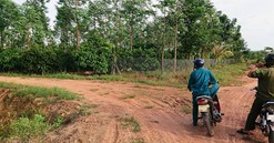 Đắk Lắk: Xà xẻo đất rừng bán trái phép