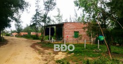 Bình Định: Sẽ cưỡng chế các trường hợp chiếm đất, xây dựng trái phép tại khu kinh tế Nhơn Hội