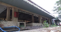 TP.HCM: Khu chợ chính bỏ hoang, chợ tự phát tấp nập mua bán