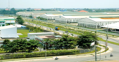 TP.HCM: Dân chưa đồng thuận 3 dự án chuyển đổi đất trồng lúa tại Củ Chi