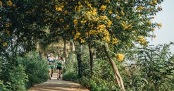 Ecopark Marathon - Chạy giữa miền xanh