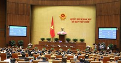 Thông qua Nghị quyết về thí điểm mô hình chính quyền đô thị Đà Nẵng