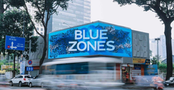 Giải mã trào lưu “Blue Zones“ đang rầm rộ khắp vũ trụ FB và đường phố Sài Gòn