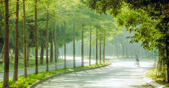 Bác sĩ “kê thiên nhiên” vào đơn thuốc trị bệnh