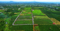 Lâm Đồng quy định điều kiện, tiêu chí tách thành dự án bất động sản độc lập