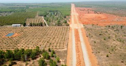 Bộ Giao thông Vận tải trả lời về chủ trương chỉ định nhà đầu tư xây dựng sân bay Phan Thiết