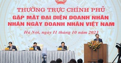 “THACO, Vingroup, Viettel, FPT... vươn tầm khu vực và thế giới, dẫn dắt các doanh nghiệp vừa và nhỏ“ 