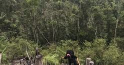 Chuyện lạ đằng sau những “sổ đỏ đất rừng sản xuất” được cấp ở Đại Lộc