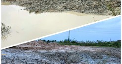 Công ty Hưng Thành Lộc với hành trình tập kết đất bùn thải trái phép tại Đà Nẵng