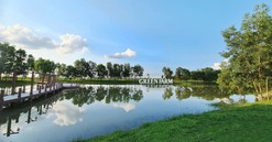 Vinamilk Green Farm - Mô hình trang trại bò sữa phát triển bền vững