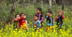 Du xuân nơi “thiên đường“ hoa cải