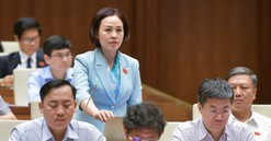 ĐBQH Trần Thị Hồng Thanh: "Cần quyết liệt cải thiện hơn nữa môi trường đầu tư, kinh doanh"
