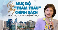 TS. Nguyễn Minh Thảo: "Xuất hiện tâm lý không dám thực hiện các thủ tục nếu các luật chưa đồng bộ"