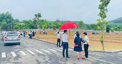 Hơn 3.000m2 đất gần sân bay Nội Bài sắp "lên sàn" đấu giá