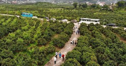 Mở đường cho bất động sản du lịch nông nghiệp