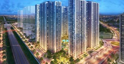 Giải mã lý do The Miami được săn đón đặc biệt ngay khi ra mắt