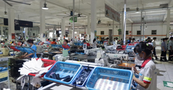 Hỗ trợ thực tế nhất cho doanh nghiệp là cải thiện môi trường kinh doanh