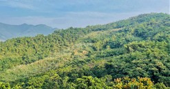  Hoà Bình: Cấp đất cho nhiều dự án trồng rừng chồng lấn đất ở, đất rừng phòng hộ