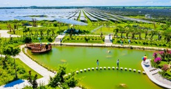Thanh tra Chính phủ phát hiện bất cập tại Nhà máy điện mặt trời Sao Mai An Giang