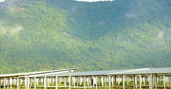 Kỳ “quang” điện mặt trời Sao Mai