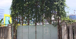 Thanh Hoá: Công ty Cổ phần Xi măng Công Thanh đang biến đất “vàng” thành đất hoang