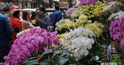 Chợ Bưởi Hà Nội ngày giáp Tết