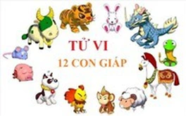 Tử vi ngày 23/8/2020 của 12 con giáp