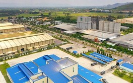 Bình Định: Thu hút dự án sản xuất, chế biến nông, lâm sản gần 500 tỷ đồng