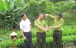 Thái Nguyên: Ban hành đơn giá bồi thường thiệt hại khi Nhà nước thu hồi đất