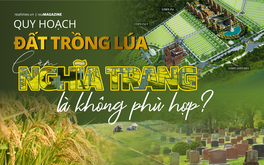 Quy hoạch đất trồng lúa làm nghĩa trang là không phù hợp?