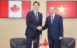 Tổng Bí thư, Chủ tịch nước Tô Lâm gặp các Thủ tướng Canada và Bỉ